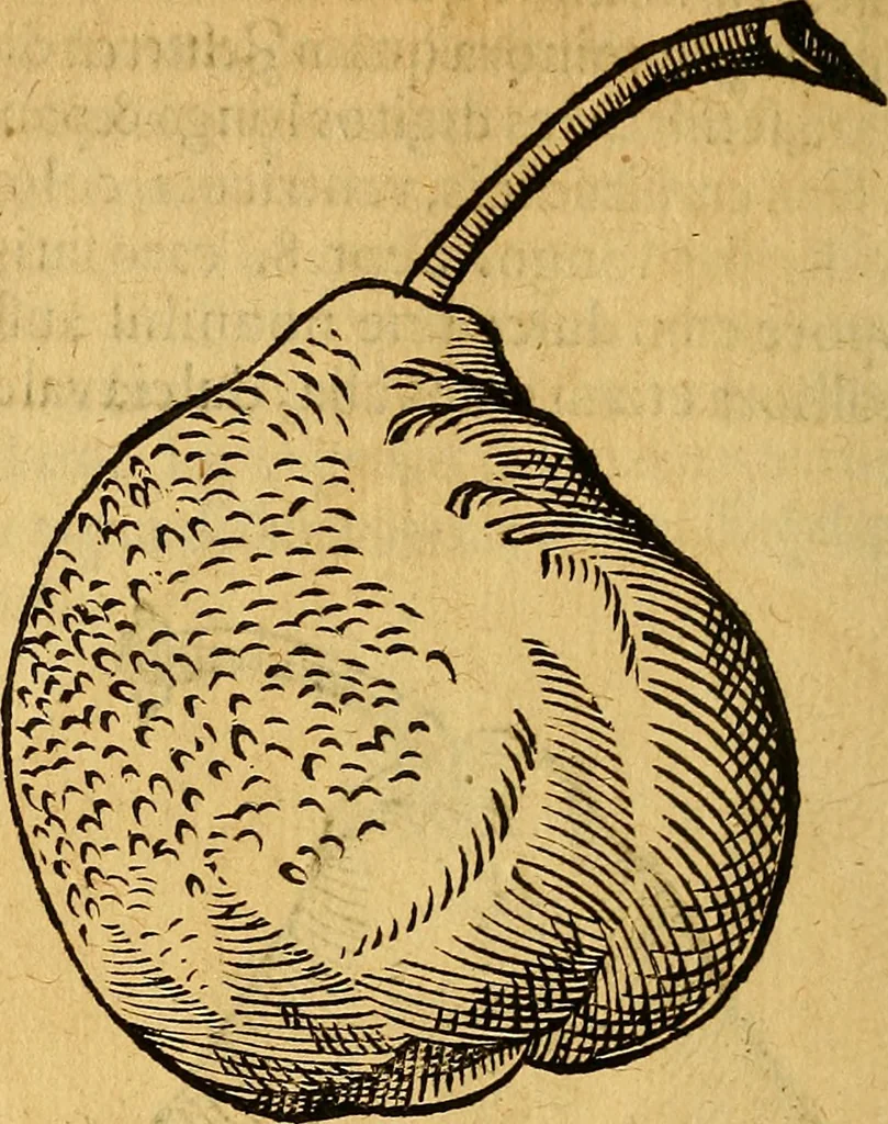 An illustration from Historia novi et admirabilis fontis balneique Bollensis in Ducatu Wirtembergico ad acidulas Goepingenses : mandato illustris. principis ac D.D. Frid. Ducis Vvirtemberg. et Teccensis. Comitis Montisbelig. &c. ac Equ. Ord. Reg. Gall. ad subditorum omniumqu[e] vicinorum & exterorum emolumentum ob vires insignes adornati,, 1598, leaf 461