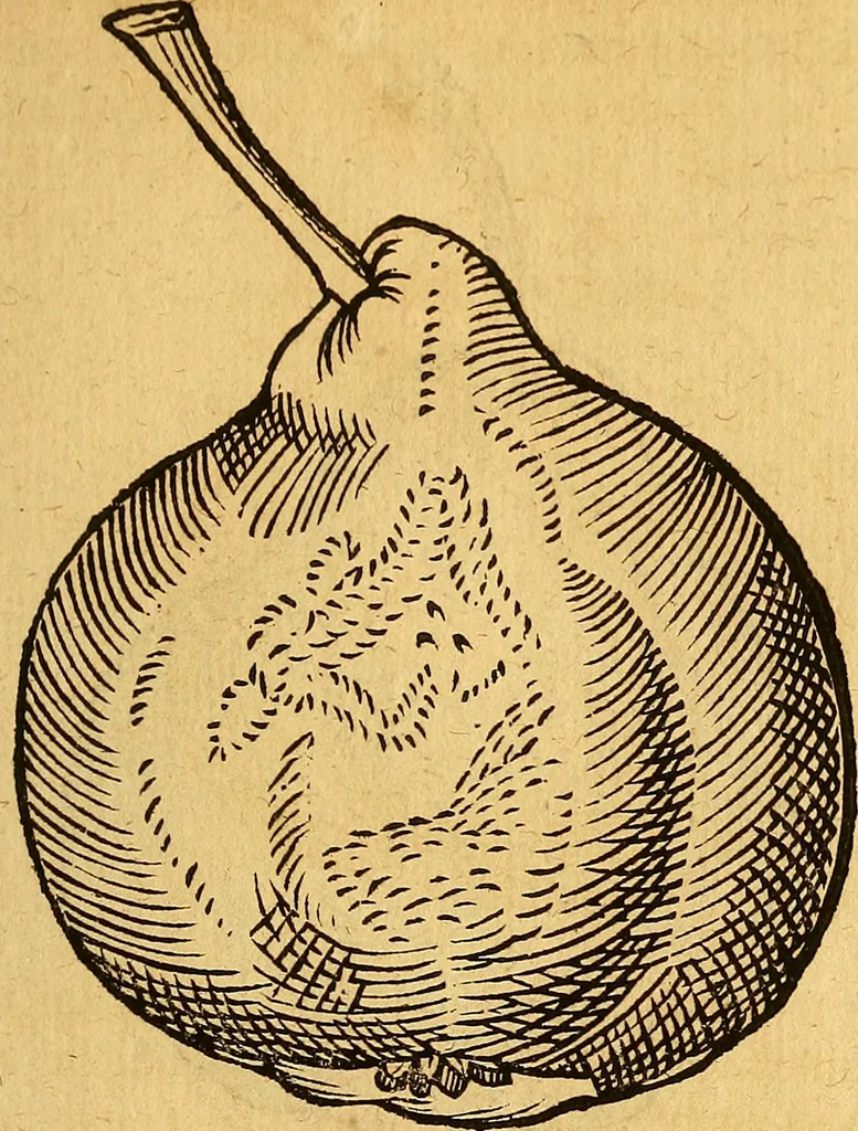 An illustration from Historia novi et admirabilis fontis balneique Bollensis in Ducatu Wirtembergico ad acidulas Goepingenses : mandato illustris. principis ac D.D. Frid. Ducis Vvirtemberg. et Teccensis. Comitis Montisbelig. &c. ac Equ. Ord. Reg. Gall. ad subditorum omniumqu[e] vicinorum & exterorum emolumentum ob vires insignes adornati,, 1598, leaf 462