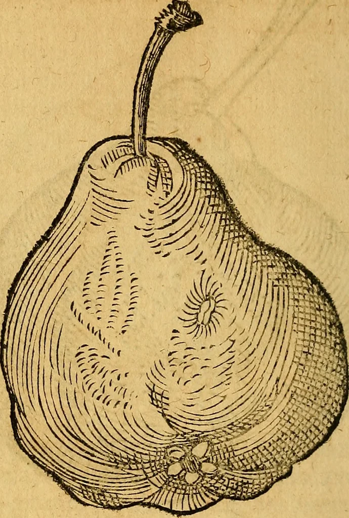 An illustration from Historia novi et admirabilis fontis balneique Bollensis in Ducatu Wirtembergico ad acidulas Goepingenses : mandato illustris. principis ac D.D. Frid. Ducis Vvirtemberg. et Teccensis. Comitis Montisbelig. &c. ac Equ. Ord. Reg. Gall. ad subditorum omniumqu[e] vicinorum & exterorum emolumentum ob vires insignes adornati,, 1598, leaf 463