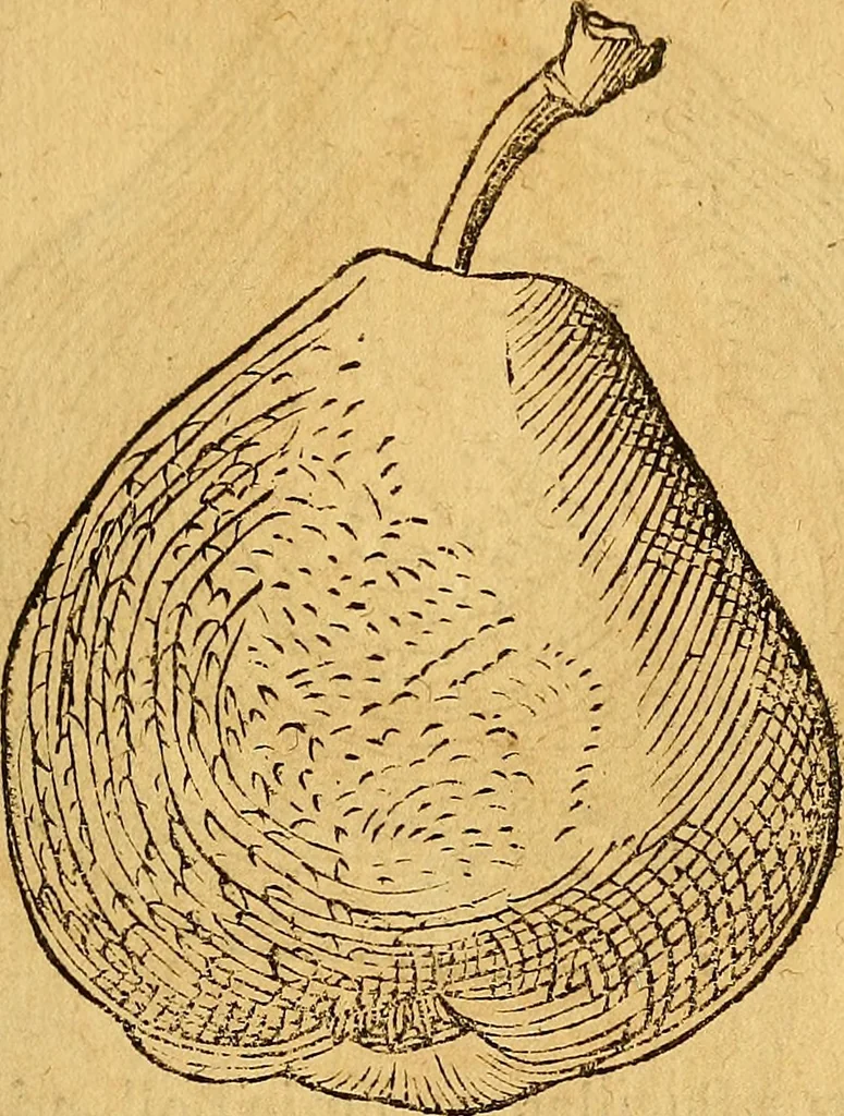An illustration from Historia novi et admirabilis fontis balneique Bollensis in Ducatu Wirtembergico ad acidulas Goepingenses : mandato illustris. principis ac D.D. Frid. Ducis Vvirtemberg. et Teccensis. Comitis Montisbelig. &c. ac Equ. Ord. Reg. Gall. ad subditorum omniumqu[e] vicinorum & exterorum emolumentum ob vires insignes adornati,, 1598, leaf 464