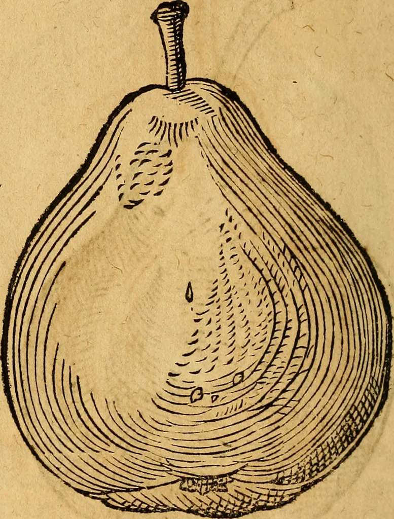 An illustration from Historia novi et admirabilis fontis balneique Bollensis in Ducatu Wirtembergico ad acidulas Goepingenses : mandato illustris. principis ac D.D. Frid. Ducis Vvirtemberg. et Teccensis. Comitis Montisbelig. &c. ac Equ. Ord. Reg. Gall. ad subditorum omniumqu[e] vicinorum & exterorum emolumentum ob vires insignes adornati,, 1598, leaf 467