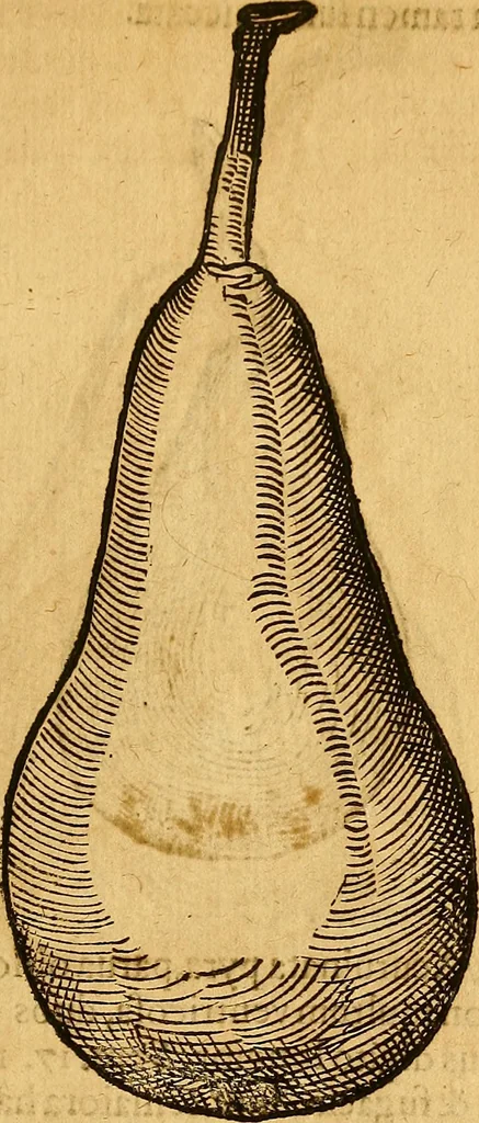 An illustration from Historia novi et admirabilis fontis balneique Bollensis in Ducatu Wirtembergico ad acidulas Goepingenses : mandato illustris. principis ac D.D. Frid. Ducis Vvirtemberg. et Teccensis. Comitis Montisbelig. &c. ac Equ. Ord. Reg. Gall. ad subditorum omniumqu[e] vicinorum & exterorum emolumentum ob vires insignes adornati,, 1598, leaf 470