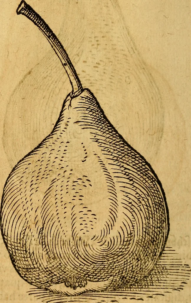 An illustration from Historia novi et admirabilis fontis balneique Bollensis in Ducatu Wirtembergico ad acidulas Goepingenses : mandato illustris. principis ac D.D. Frid. Ducis Vvirtemberg. et Teccensis. Comitis Montisbelig. &c. ac Equ. Ord. Reg. Gall. ad subditorum omniumqu[e] vicinorum & exterorum emolumentum ob vires insignes adornati,, 1598, leaf 473