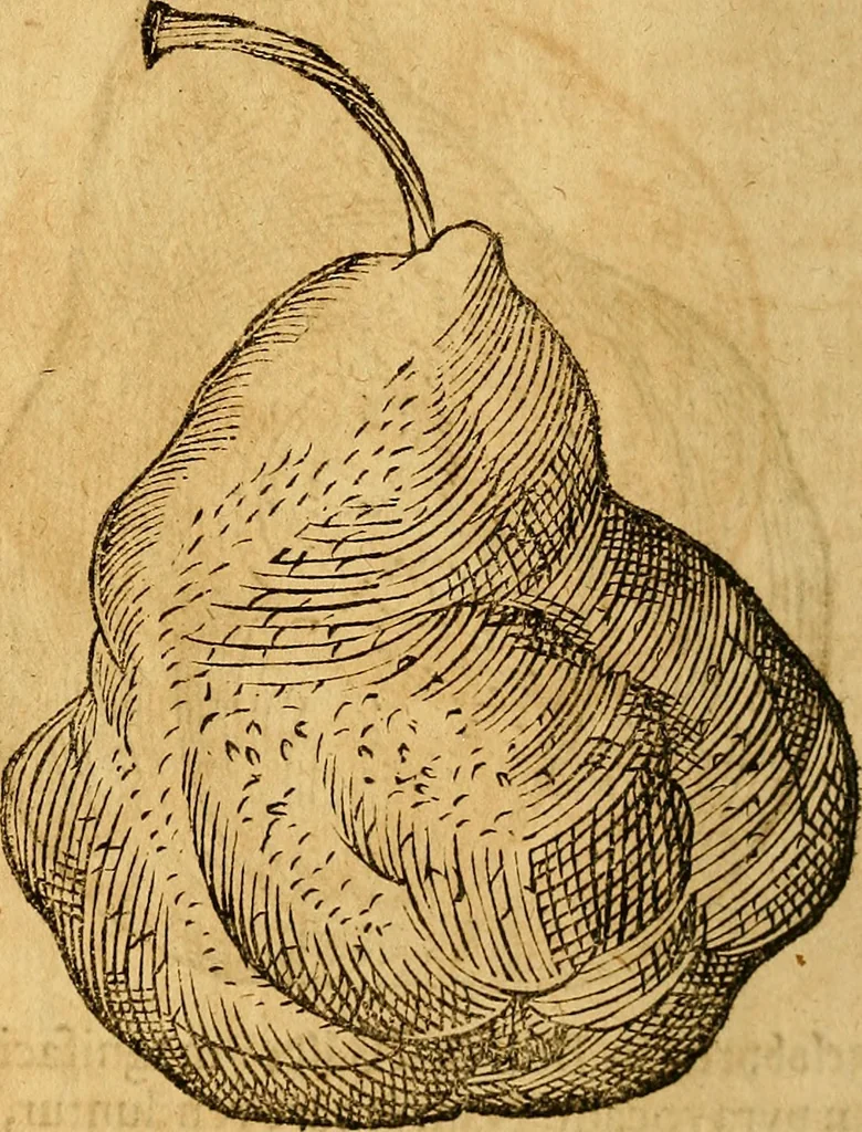An illustration from Historia novi et admirabilis fontis balneique Bollensis in Ducatu Wirtembergico ad acidulas Goepingenses : mandato illustris. principis ac D.D. Frid. Ducis Vvirtemberg. et Teccensis. Comitis Montisbelig. &c. ac Equ. Ord. Reg. Gall. ad subditorum omniumqu[e] vicinorum & exterorum emolumentum ob vires insignes adornati,, 1598, leaf 475