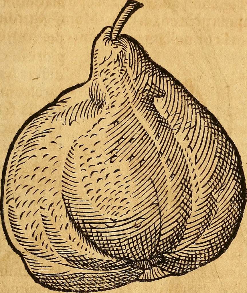 An illustration from Historia novi et admirabilis fontis balneique Bollensis in Ducatu Wirtembergico ad acidulas Goepingenses : mandato illustris. principis ac D.D. Frid. Ducis Vvirtemberg. et Teccensis. Comitis Montisbelig. &c. ac Equ. Ord. Reg. Gall. ad subditorum omniumqu[e] vicinorum & exterorum emolumentum ob vires insignes adornati,, 1598, leaf 476