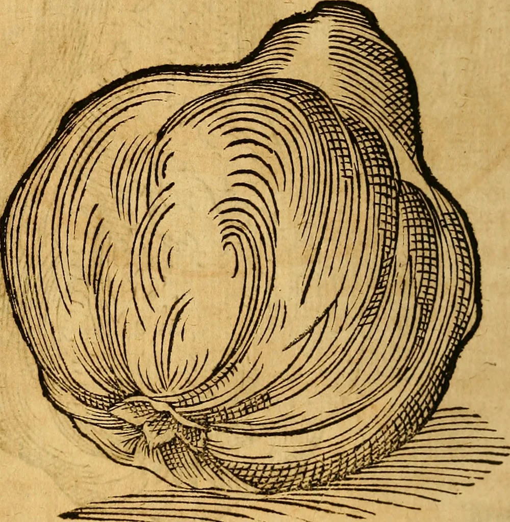 An illustration from Historia novi et admirabilis fontis balneique Bollensis in Ducatu Wirtembergico ad acidulas Goepingenses : mandato illustris. principis ac D.D. Frid. Ducis Vvirtemberg. et Teccensis. Comitis Montisbelig. &c. ac Equ. Ord. Reg. Gall. ad subditorum omniumqu[e] vicinorum & exterorum emolumentum ob vires insignes adornati,, 1598, leaf 481