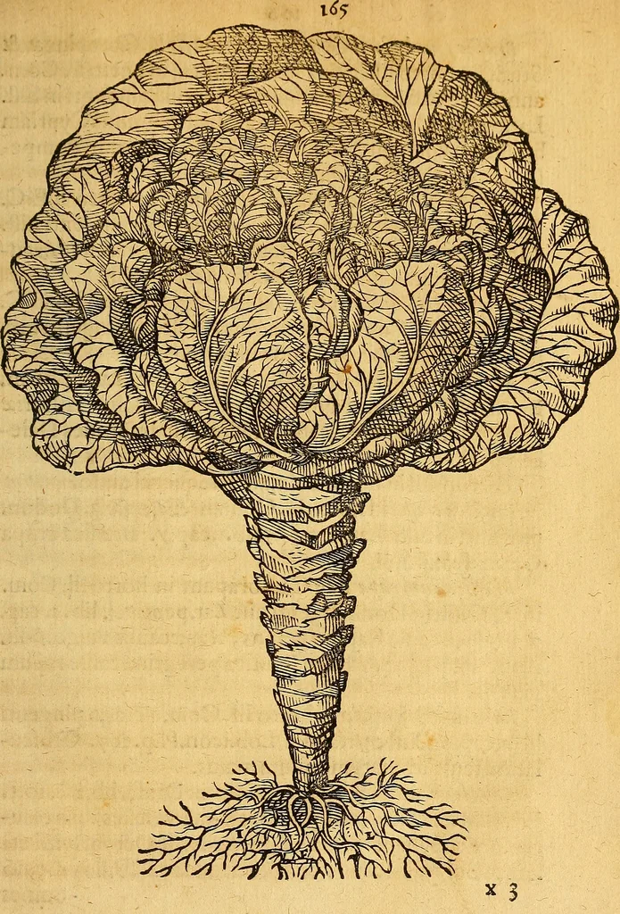 An illustration from Historia novi et admirabilis fontis balneique Bollensis in Ducatu Wirtembergico ad acidulas Goepingenses : mandato illustris. principis ac D.D. Frid. Ducis Vvirtemberg. et Teccensis. Comitis Montisbelig. &c. ac Equ. Ord. Reg. Gall. ad subditorum omniumqu[e] vicinorum & exterorum emolumentum ob vires insignes adornati,, 1598, leaf 510