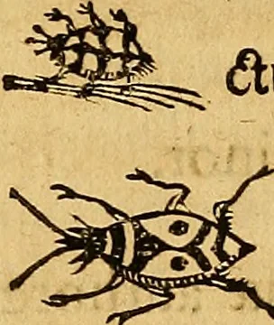 An illustration from Historia novi et admirabilis fontis balneique Bollensis in Ducatu Wirtembergico ad acidulas Goepingenses : mandato illustris. principis ac D.D. Frid. Ducis Vvirtemberg. et Teccensis. Comitis Montisbelig. &c. ac Equ. Ord. Reg. Gall. ad subditorum omniumqu[e] vicinorum & exterorum emolumentum ob vires insignes adornati,, 1598, leaf 557