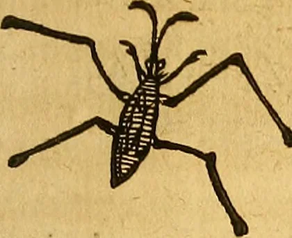 An illustration from Historia novi et admirabilis fontis balneique Bollensis in Ducatu Wirtembergico ad acidulas Goepingenses : mandato illustris. principis ac D.D. Frid. Ducis Vvirtemberg. et Teccensis. Comitis Montisbelig. &c. ac Equ. Ord. Reg. Gall. ad subditorum omniumqu[e] vicinorum & exterorum emolumentum ob vires insignes adornati,, 1598, leaf 558