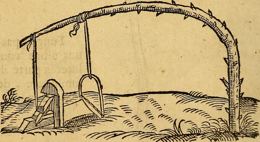 An illustration from Historia novi et admirabilis fontis balneique Bollensis in Ducatu Wirtembergico ad acidulas Goepingenses : mandato illustris. principis ac D.D. Frid. Ducis Vvirtemberg. et Teccensis. Comitis Montisbelig. &c. ac Equ. Ord. Reg. Gall. ad subditorum omniumqu[e] vicinorum & exterorum emolumentum ob vires insignes adornati,, 1598, leaf 573