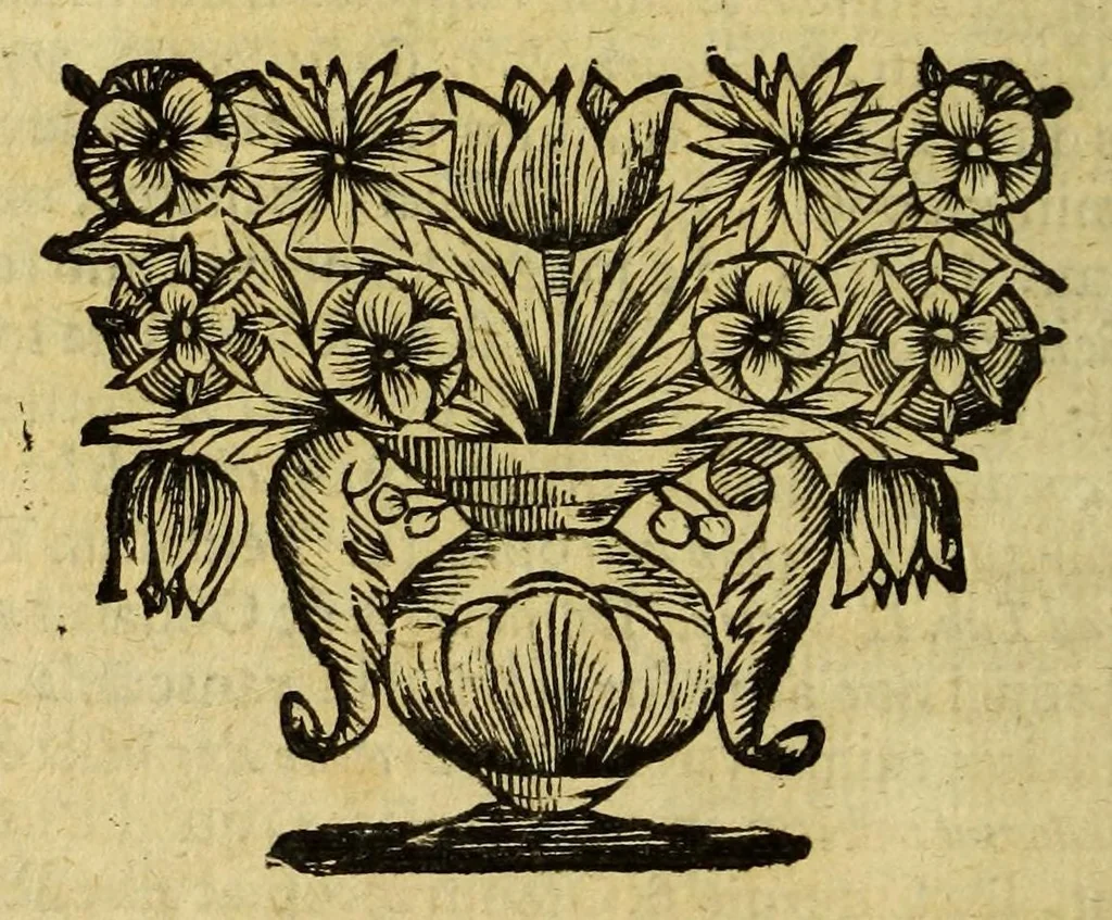 An illustration from Historia orbis terrarum, geographica et civilis, de variis negotiis : nostri potiss. & superioris seculi, aliisve rebus selectioribus, 1692, leaf 348