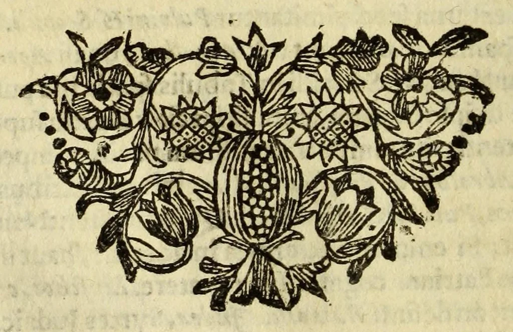 An illustration from Historia orbis terrarum, geographica et civilis, de variis negotiis : nostri potiss. & superioris seculi, aliisve rebus selectioribus, 1680, leaf 174