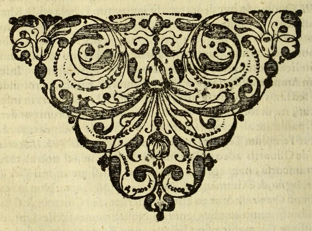 An illustration from Historia orbis terrarum, geographica et civilis, de variis negotiis : nostri potiss. & superioris seculi, aliisve rebus selectioribus, 1680, leaf 348