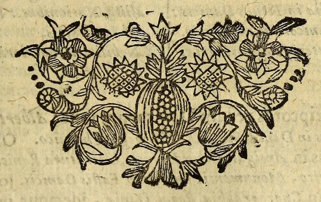 An illustration from Historia orbis terrarum, geographica et civilis, de variis negotiis : nostri potiss. & superioris seculi, aliisve rebus selectioribus, 1680, leaf 625