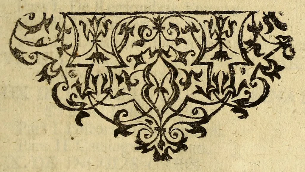 An illustration from Historia orbis terrarum, geographica et civilis, de variis negotiis : nostri potiss. & superioris seculi, aliisve rebus selectioribus, 1680, leaf 795