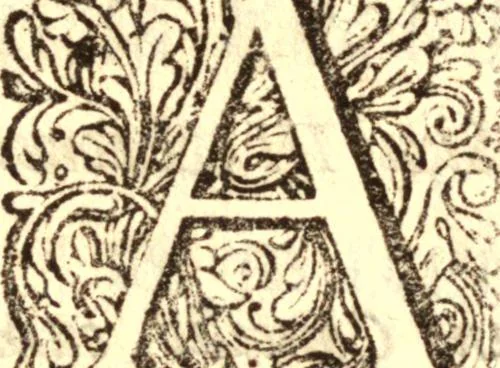 An illustration from Historia Papatus, 1684, leaf 53