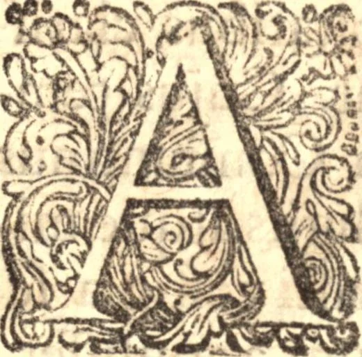 An illustration from Historia Papatus, 1684, leaf 618
