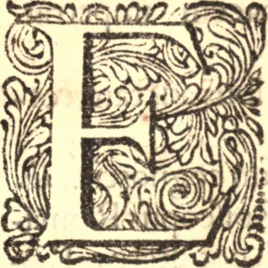 An illustration from Historia Papatus, 1684, leaf 634