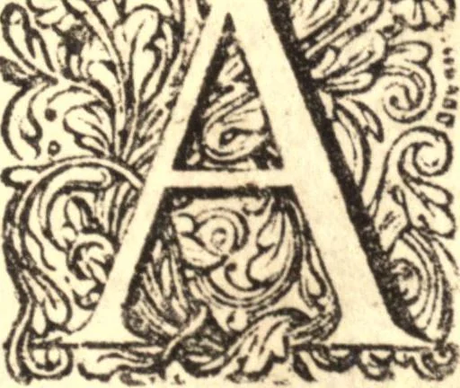 An illustration from Historia Papatus, 1684, leaf 74