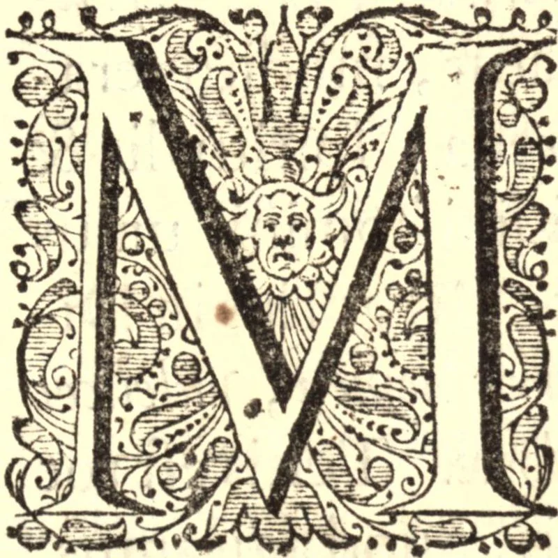An illustration from Historia Papatus, 1684, leaf 8