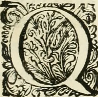 An illustration from Historia Ptolemaeorum Aegypti regum : ad fidem numismatum accommodata, 1701, leaf 8