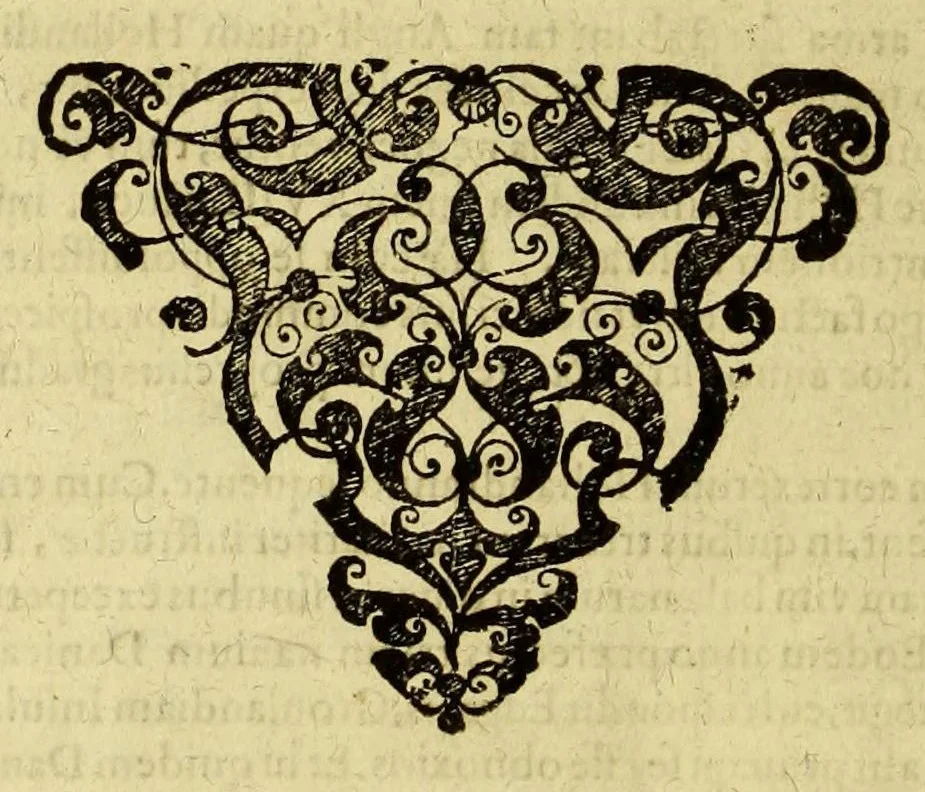 An illustration from Historiarum Orientalis Indiae tomus XII in tres libros siue tractatus distributus. : Quorum primus continet descriptiones chorographicas & topographicas regnorum, provinciarum, insularum, vrbium, castellorum, emporiorum montium atque fluviorum, totius illius continentis, quae vulgo Orientalis Indiae nomine censetur: imprimis Chersonesi Aureae, Sinarum, Iaponum, Sinus Perfici & Gangetici, Oceani Eoi & littoris Africani: adiectis incolarum moribus & ritibus, ipsiusque soli ingenio & natura. Secundus habet narrationes exquisitas aliquot nauigationum & expeditionum marinarum, ab Anglis Batauisque potissimum, in omnes illas Orientis & Austri partes susceptarum, vt & praeliorum aliquot naualium vario euentu commissorum: quibus accessit periplus orbis terrae, à Iacobo Eremita, Nauarcho Batauo absolutus: quae historia incipit ab anno An. C. M. DC. XIII. terminaturque initiis anni M. DC. XXVI. Tertius tribuitur descriptioni quarundam septentrionalium regionum atque insularum, ante non satis cognitarum, nempe partis Scythiae, Moscoviae, quae magna pars est Sarmatiae Europae & Asiaticae, nec non Samogetiae, Islandae, Gronlandiae & aliarum, quarum plenior notitiae, expeditionibus Nauarchorum felici industria in eas orbis partes confectis, ad nos peruenit: à primis Aquilonarium nauigationum initiis ad nostra tempora. I. Ludouicus Gotofridus ex Anglico et Belgico sermone in Latinum transtulit, nouis accessionibus locupletauit, ordinem & concinnitatem addidit: non sine tabulis chorographicis & figuris aeneis, vnde lumen toti historiae, 1628, leaf 226