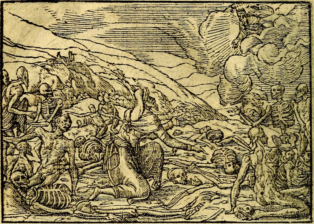 An illustration from Historiarvm memorabilivm ex Exodo, sequentibusq́ [] libris descriptio, 1558, leaf 137