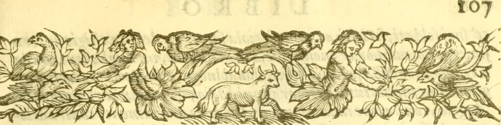 An illustration from Historia trivigiana, 1591, leaf 128