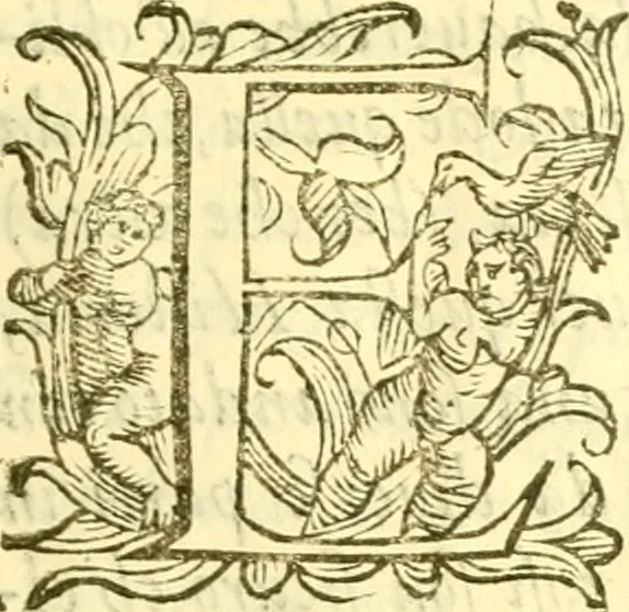An illustration from Historia trivigiana, 1591, leaf 16