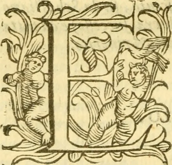 An illustration from Historia trivigiana, 1591, leaf 179