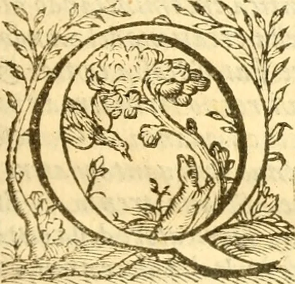 An illustration from Historia trivigiana, 1591, leaf 22