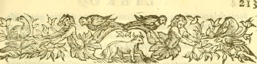An illustration from Historia trivigiana, 1591, leaf 234