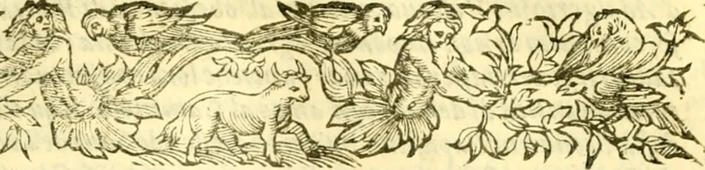 An illustration from Historia trivigiana, 1591, leaf 306