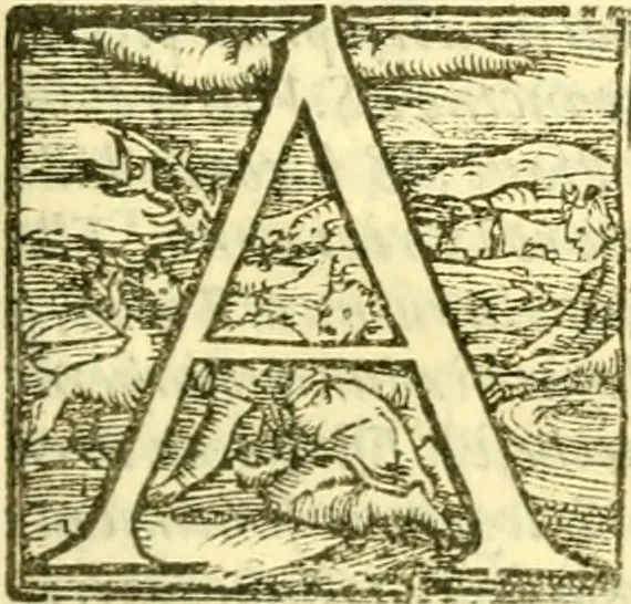 An illustration from Historia trivigiana, 1591, leaf 306