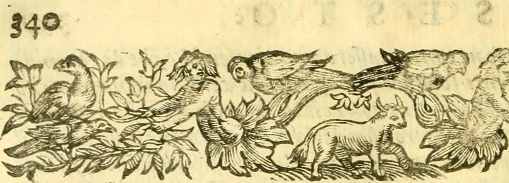 An illustration from Historia trivigiana, 1591, leaf 361