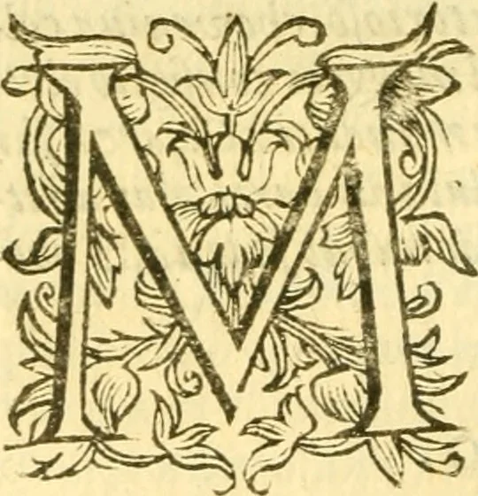 An illustration from Historia trivigiana, 1591, leaf 361