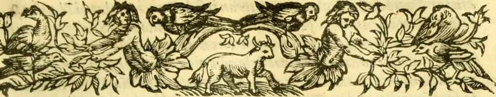 An illustration from Historia trivigiana, 1591, leaf 406
