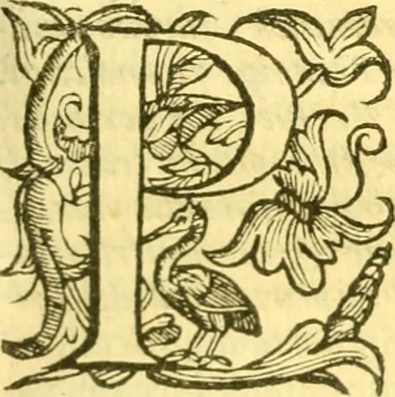 An illustration from Historia trivigiana, 1591, leaf 480