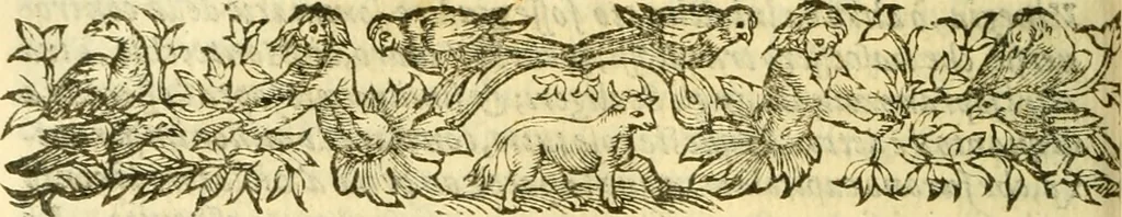 An illustration from Historia trivigiana, 1591, leaf 527