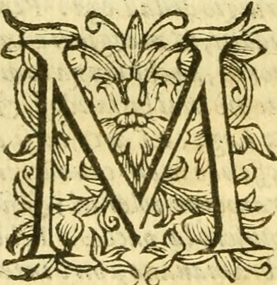 An illustration from Historia trivigiana, 1591, leaf 527