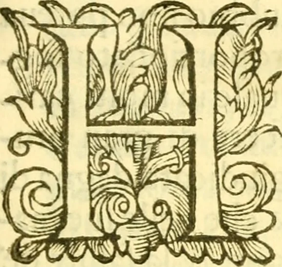 An illustration from Historia trivigiana, 1591, leaf 6