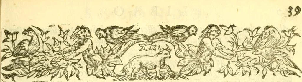 An illustration from Historia trivigiana, 1591, leaf 60