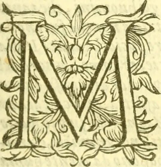 An illustration from Historia trivigiana, 1591, leaf 60