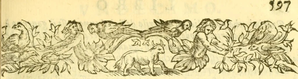 An illustration from Historia trivigiana, 1591, leaf 618