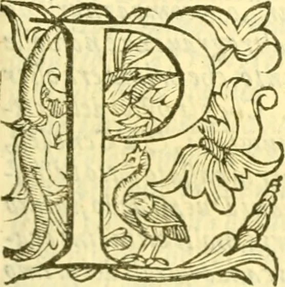 An illustration from Historia trivigiana, 1591, leaf 618