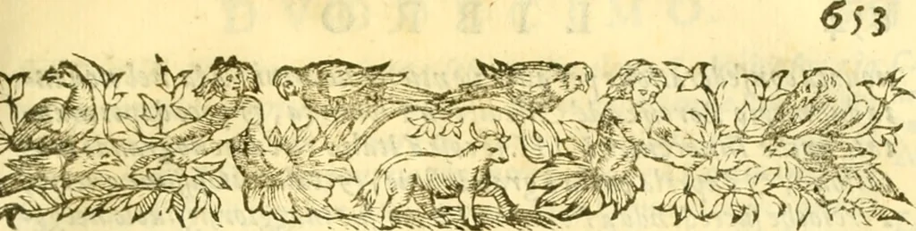 An illustration from Historia trivigiana, 1591, leaf 674