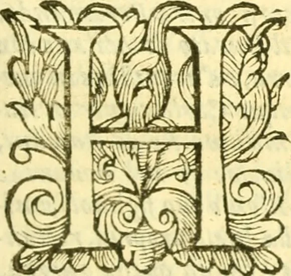 An illustration from Historia trivigiana, 1591, leaf 674