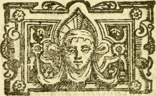 An illustration from Historia trivigiana, 1591, leaf 749