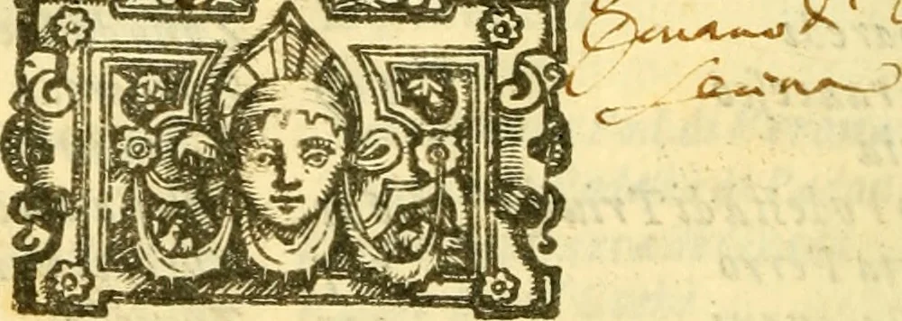 An illustration from Historia trivigiana, 1591, leaf 869