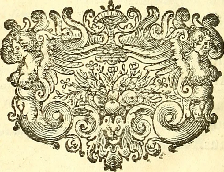 An illustration from Historiæ Augustæ scriptores VI : Ælius Spartianus. Vulc. Gallicanus. Julius Capitolinus. Trebell. Pollio. Ælius Lampridius. Flavius Vopiscus, 1661, leaf 1045